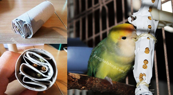 مخفی کردن غذای طوطی داخل لوله ی مقوایی دستمال لوله ای